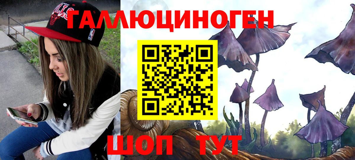 Чебаркуль  Галлюциногенные грибы прущие грибы  Вход с VPN 